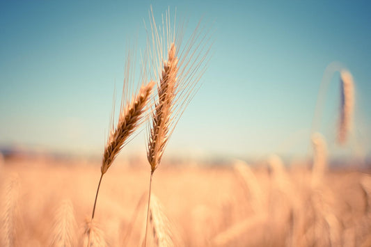 🌾 Living with Celiac Disease: The Truth They Don’t Tell You (But I Will)